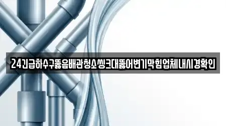 24긴급하수구뚫음배관청소씽크대뚫어변기막힘업체내시경확인