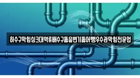 하수구막힘싱크대역류배수구뚫음변기뚫어뻥우수관막힘전문업