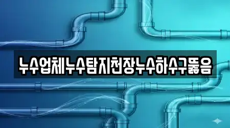 누수업체누수탐지천장누수하수구뚫음