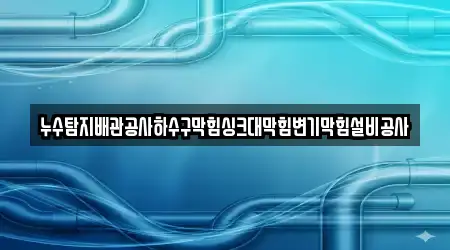 누수탐지배관공사하수구막힘싱크대막힘변기막힘설비공사