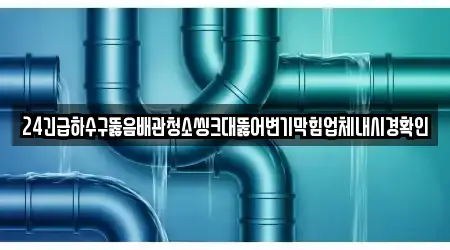 24긴급하수구뚫음배관청소씽크대뚫어변기막힘업체내시경확인