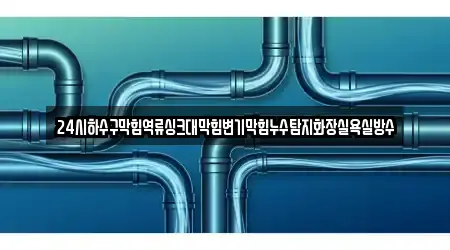 24시하수구막힘역류싱크대막힘변기막힘누수탐지화장실욕실방수