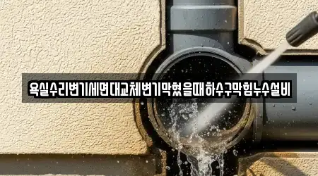 욕실수리변기세면대교체변기막혔을때하수구막힘누수설비