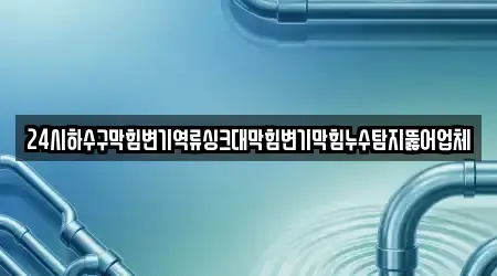 24시하수구막힘변기역류싱크대막힘변기막힘누수탐지뚫어업체
