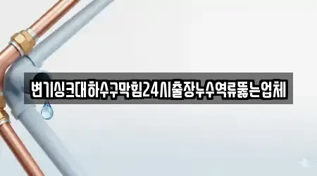 변기싱크대하수구막힘24시출장누수역류뚫는업체