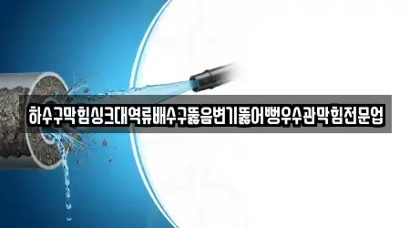 하수구막힘싱크대역류배수구뚫음변기뚫어뻥우수관막힘전문업
