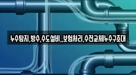 누수탐지,방수,수도설비,,보험처리,수전교체누수구조대