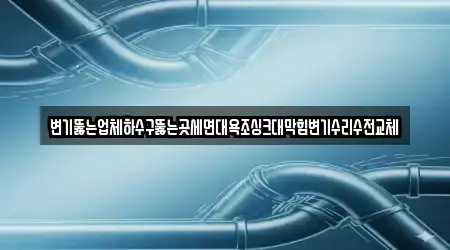 변기뚫는업체하수구뚫는곳세면대욕조싱크대막힘변기수리수전교체