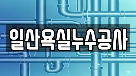 일산욕실누수공사
