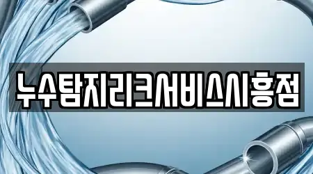 누수탐지리크서비스시흥점
