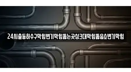 24시출동하수구막힘변기막힘뚫는곳싱크대막힘뚫음소변기막힘