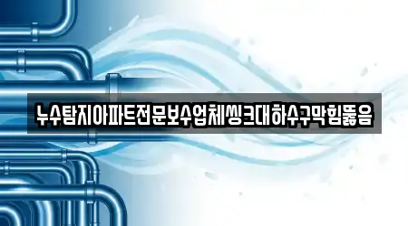 누수탐지아파트전문보수업체씽크대하수구막힘뚫음
