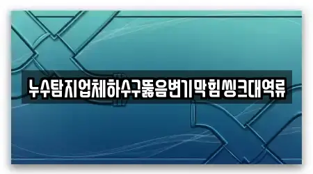 누수탐지업체하수구뚫음변기막힘씽크대역류