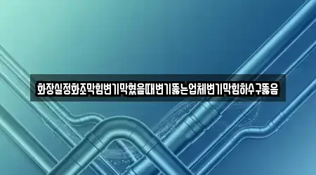 화장실정화조막힘변기막혔을때변기뚫는업체변기막힘하수구뚫음