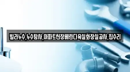 빌라누수,누수탐사,아파트천장베란다욕실화장실공사,집수리