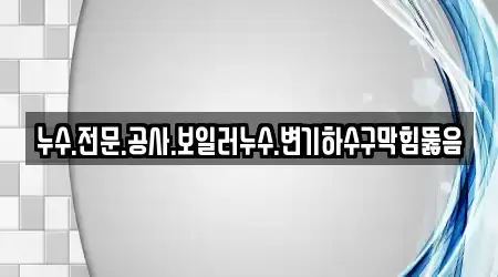 누수.전문.공사.보일러누수.변기하수구막힘뚫음