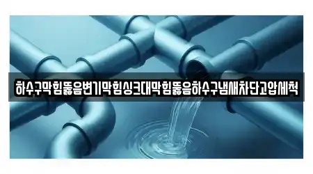 하수구막힘뚫음변기막힘싱크대막힘뚫음하수구냄새차단고압세척