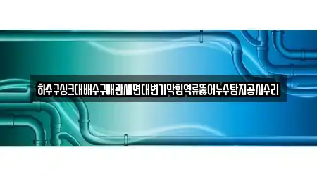 하수구싱크대배수구배관세면대변기막힘역류뚫어누수탐지공사수리