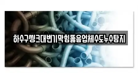 하수구씽크대변기막힘뚫음업체수도누수탐지