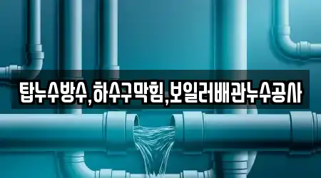탑누수방수,하수구막힘,보일러배관누수공사