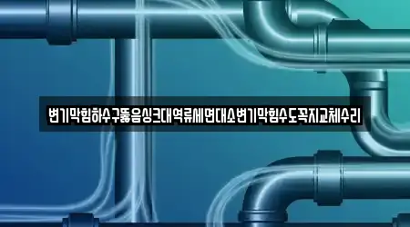 변기막힘하수구뚫음싱크대역류세면대소변기막힘수도꼭지교체수리