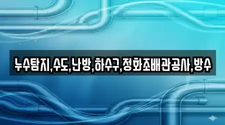 누수탐지,수도,난방,하수구,정화조배관공사,방수