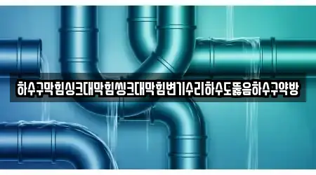 하수구막힘싱크대막힘씽크대막힘변기수리하수도뚫음하수구약방