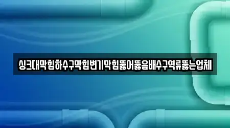 싱크대막힘하수구막힘변기막힘뚫어뚫음배수구역류뚫는업체