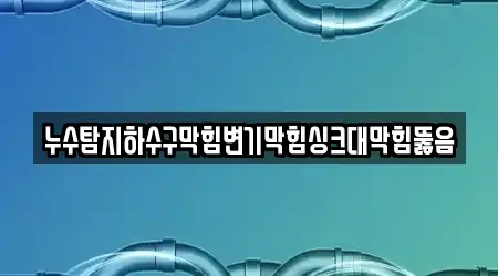누수탐지하수구막힘변기막힘싱크대막힘뚫음