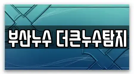 부산 수영구 수영동 누수 탐지 5 가까운 주소