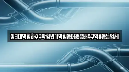 싱크대막힘하수구막힘변기막힘뚫어뚫음배수구역류뚫는업체