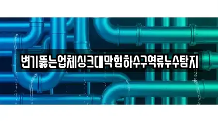 변기뚫는업체싱크대막힘하수구역류누수탐지