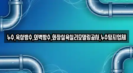 누수,옥상방수,외벽방수,화장실욕실리모델링공사,누수탐지업체