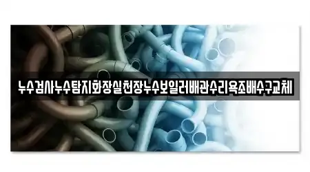 누수검사누수탐지화장실천장누수보일러배관수리욕조배수구교체