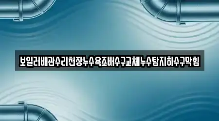 보일러배관수리천장누수욕조배수구교체누수탐지하수구막힘