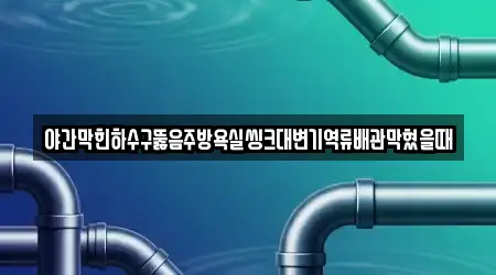 야간막힌하수구뚫음주방욕실씽크대변기역류배관막혔을때