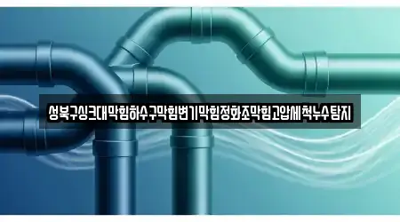 성북구싱크대막힘하수구막힘변기막힘정화조막힘고압세척누수탐지