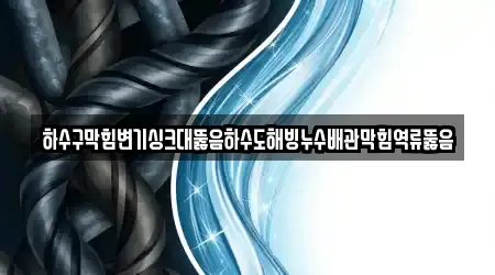 하수구막힘변기싱크대뚫음하수도해빙누수배관막힘역류뚫음