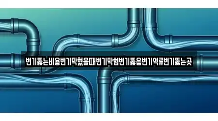 변기뚫는비용변기막혔을때변기막힘변기뚫음변기역류변기뚫는곳