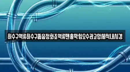 하수구역류하수구뚫음정화조역류맨홀막힘오수관고압세척내시경