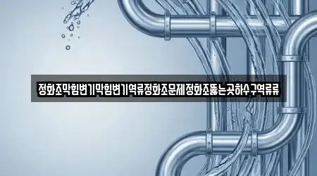 정화조막힘변기막힘변기역류정화조문제정화조뚫는곳하수구역류류