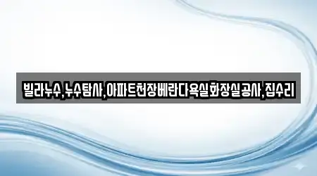 빌라누수,누수탐사,아파트천장베란다욕실화장실공사,집수리