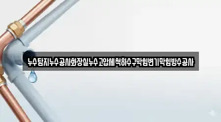 누수탐지누수공사화장실누수고압세척하수구막힘변기막힘방수공사