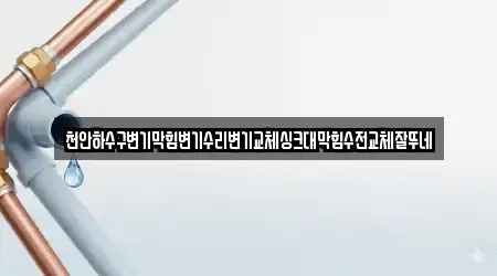 천안하수구변기막힘변기수리변기교체싱크대막힘수전교체잘뚜네