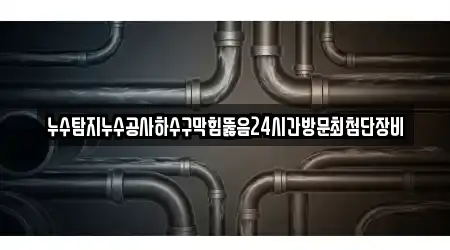 누수탐지누수공사하수구막힘뚫음24시간방문최첨단장비