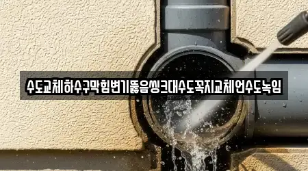 수도교체하수구막힘변기뚫음씽크대수도꼭지교체언수도녹임