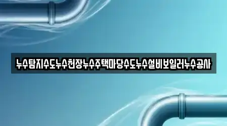 누수탐지수도누수천장누수주택마당수도누수설비보일러누수공사