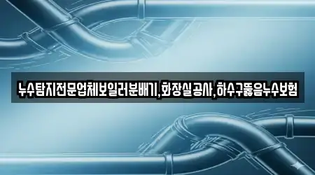 누수탐지전문업체보일러분배기,화장실공사,하수구뚫음누수보험