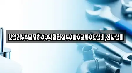 보일러누수탐지하수구막힘천장누수방수공사수도설비,전남설비