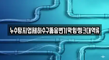 누수탐지업체하수구뚫음변기막힘씽크대역류